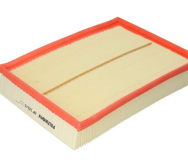 FILTRON gaisa filtrs