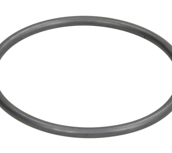 Termostata blīvgredzens Elring STC2194 P38 2.5tds